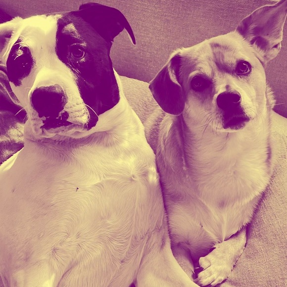 🥰✨🌻LIKE TO BE NOTIFIED FOR LIVES! 🥰✨🌻 - Picture 2 of 3